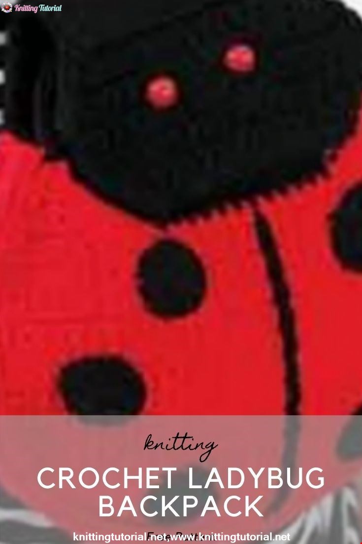 Crochet Ladybug Backpack