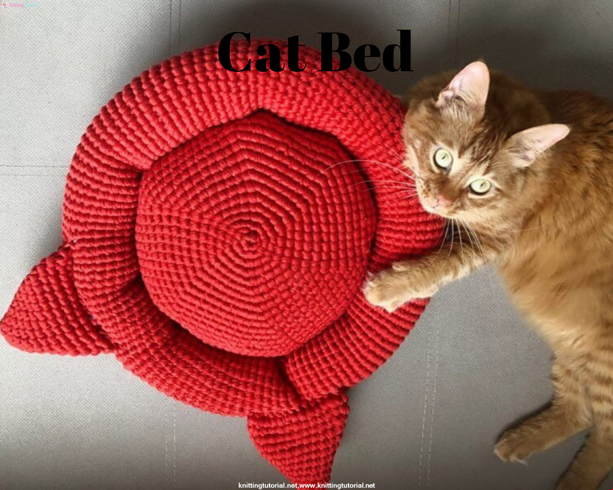 Cat Bed Making and Recipe